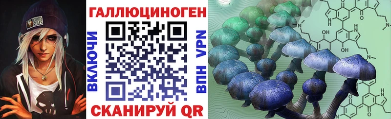 Галлюциногенные грибы мицелий hydra tor Советск продажа наркотиков