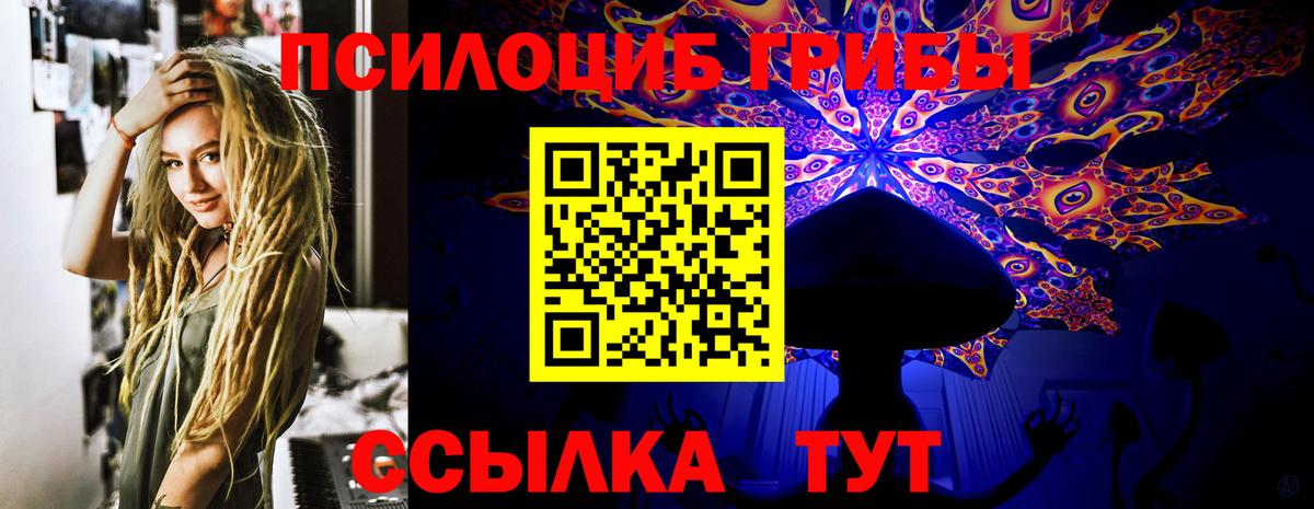 Галлюциногенные грибы Psilocybe  Вход с VPN  Псилоцибиновые грибы GOLDEN TEACHER  Советск 