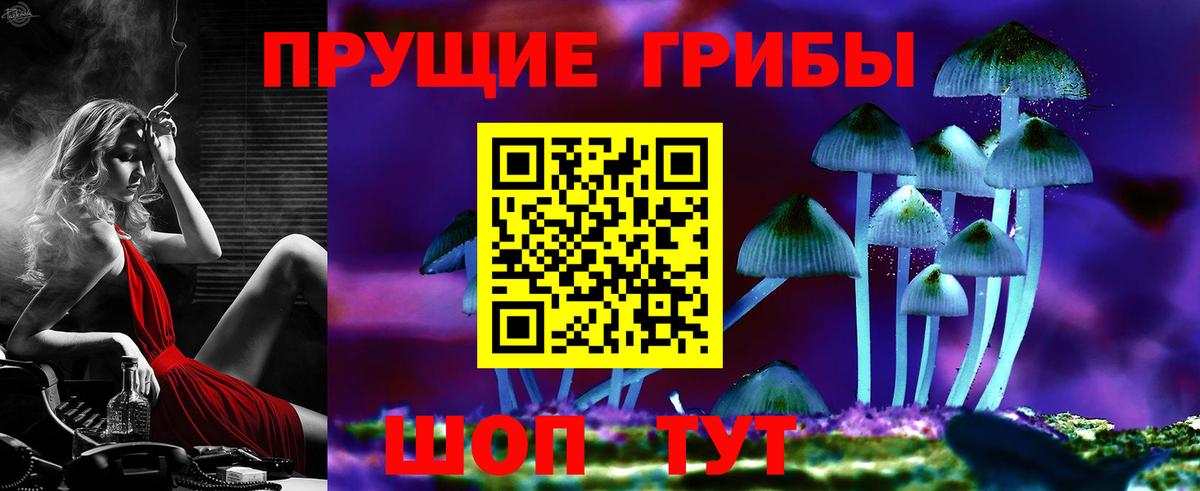 Псилоцибиновые грибы Psilocybine cubensis Советск
